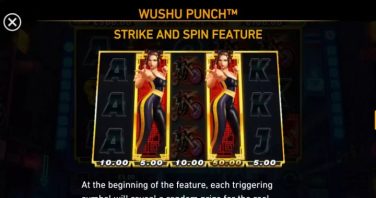 Wushu Punch Strike and Spin feature