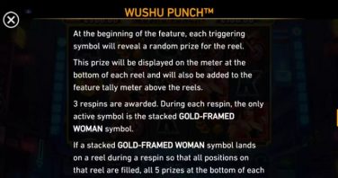 Wushu Punch Strike and Spin feature