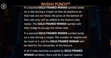 Wushu Punch Strike and Spin feature