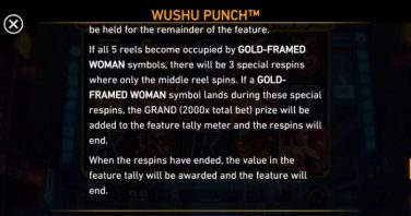 Wushu Punch Strike and Spin feature