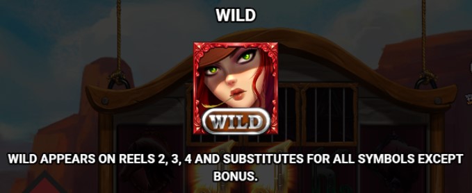 98 Bounty Hot 1 Wild Symbol