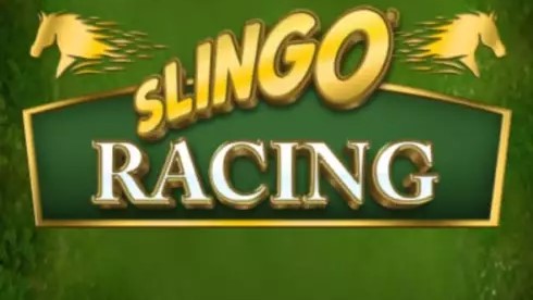 Slingo Racing Game