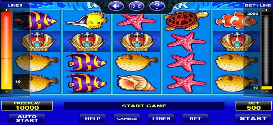 Wild Shark theme and design