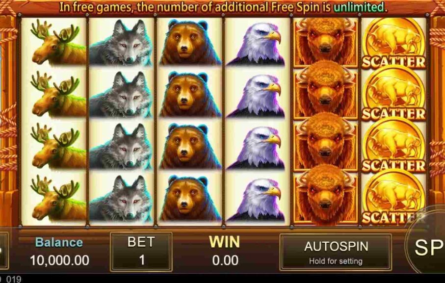 Charge Buffalo Theme & Design
