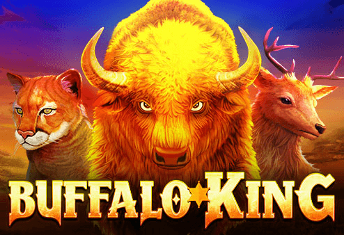 Buffalo King (Nextspin)