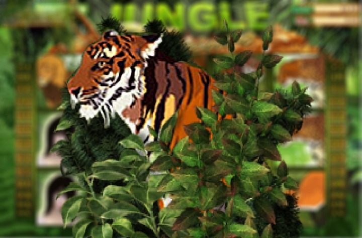 Jungle (ESBall)