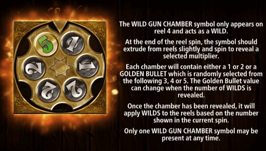 Wild Showdown Wild Gun Chamber
