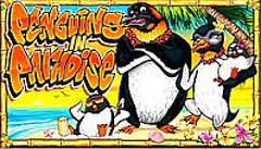 Penguins in Paradise