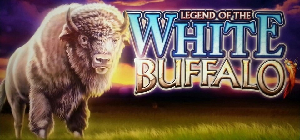 White Buffalo