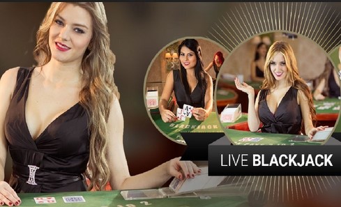 Blackjack Live Casino (Vivogaming)