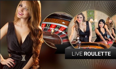 Roulette Live Casino (Vivogaming)