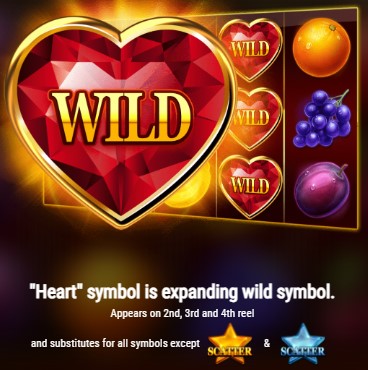 5 Wild Heart WILD