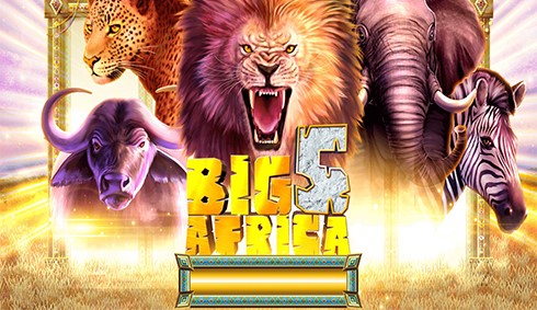 Big 5 Africa