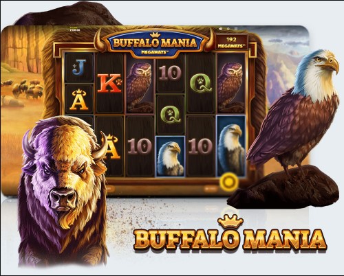 Buffalo Mania