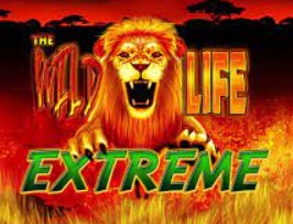 The Wild Life Extreme