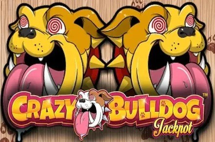 Crazy Bulldog