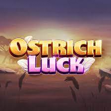 Ostrich Luck