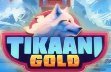 Tikaani Gold