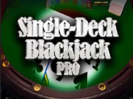 Single Deck Blackjack Pro (Games Inc)