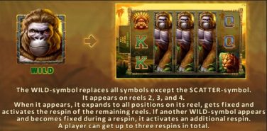 Kong of the Jungle WILD