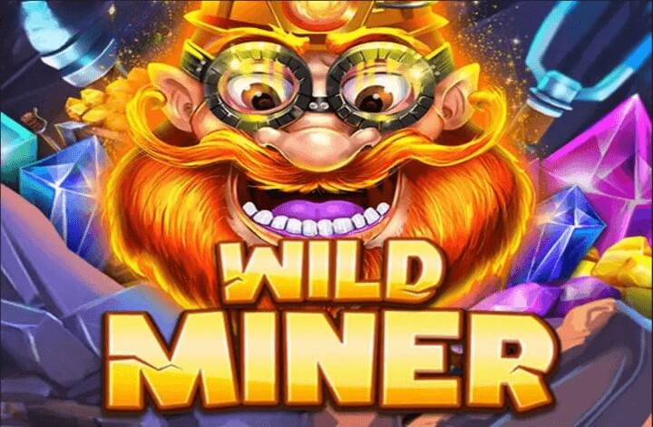 Wild Miner