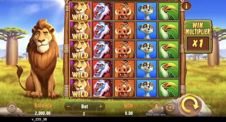 Safari Mystery Theme & Design