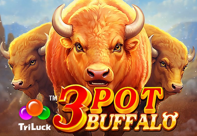 3 Pot Buffalo